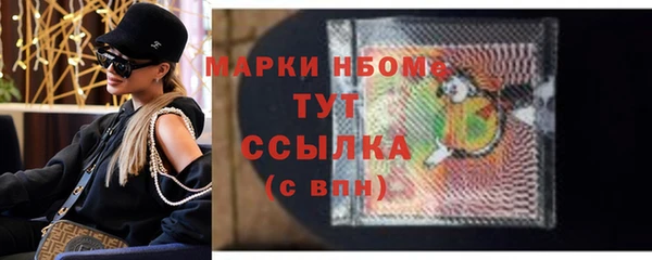 стаф Алзамай
