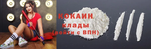 стаф Алзамай