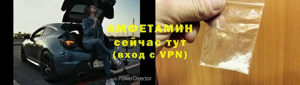 стаф Алзамай