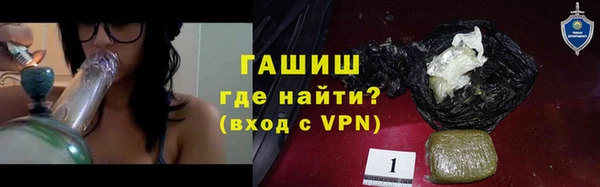 стаф Алзамай