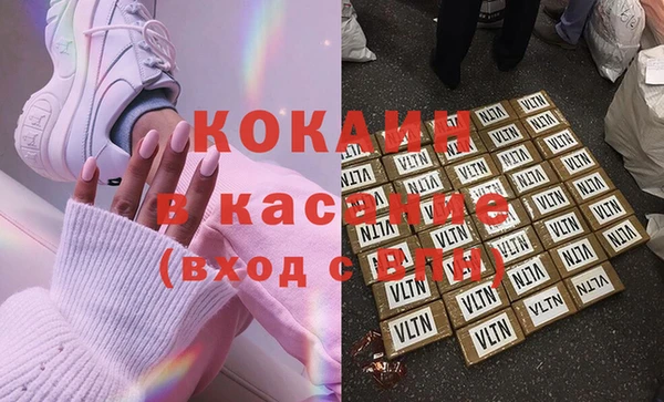 стаф Алзамай