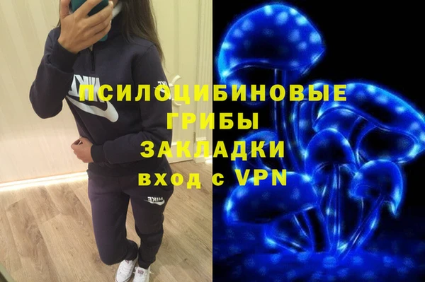 стаф Алзамай