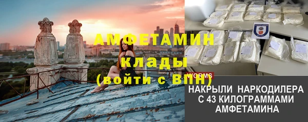 стаф Алзамай