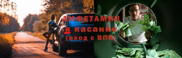 стаф Алзамай